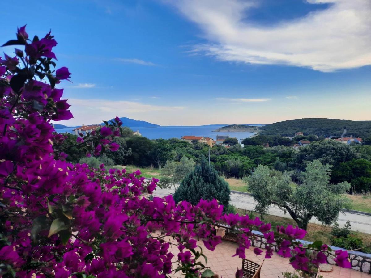 Hotel Zlatni Lav Мартиншчіца Екстер'єр фото